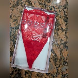 Victoria's Secret Panties And Garter NWT